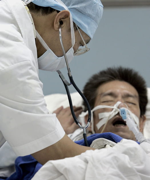 Le SRAS : la civette ou la chauve-souris ?