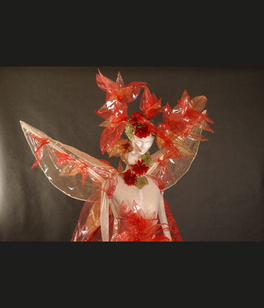Les costumes du carnaval