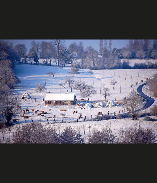 Premi&egrave;res neiges