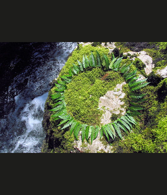 Une couronne de verdure