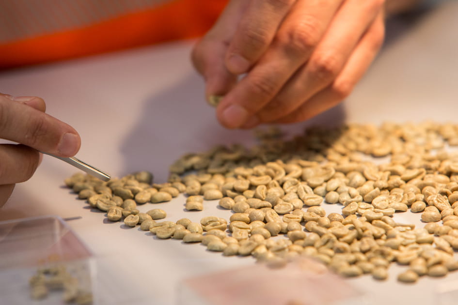 Analyse de caf&eacute; vert au centre Nespresso de Romont