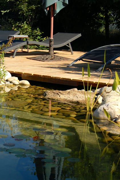 Les piscines naturelles