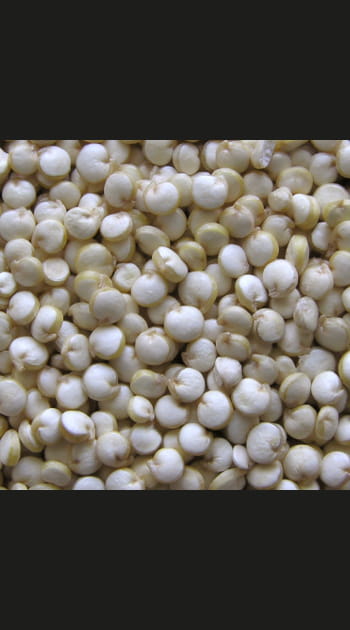 &quot;Consommer du quinoa, &ccedil;a aide les pays du Sud&quot;