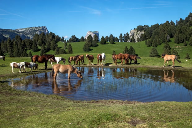 Le Parc naturel régional du Vercors
