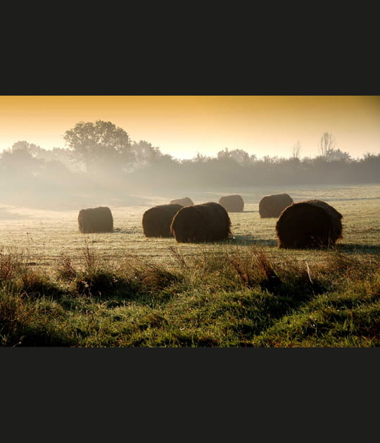 Vient le temps des moissons