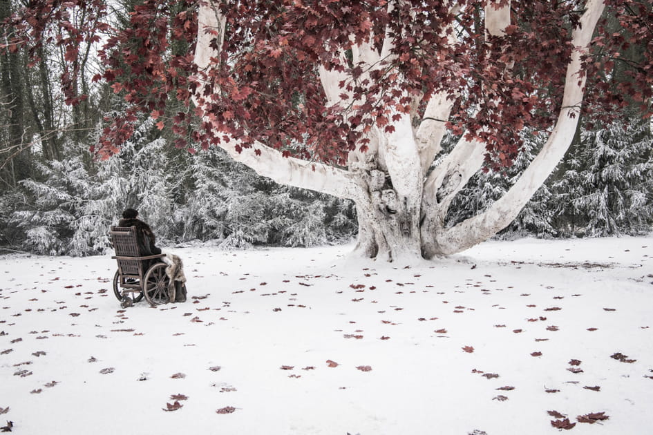 Bran face &agrave; l'arbre de Winterfell