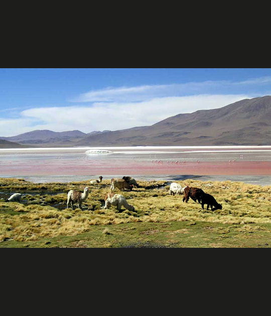 Couleurs des lacs de Bolivie