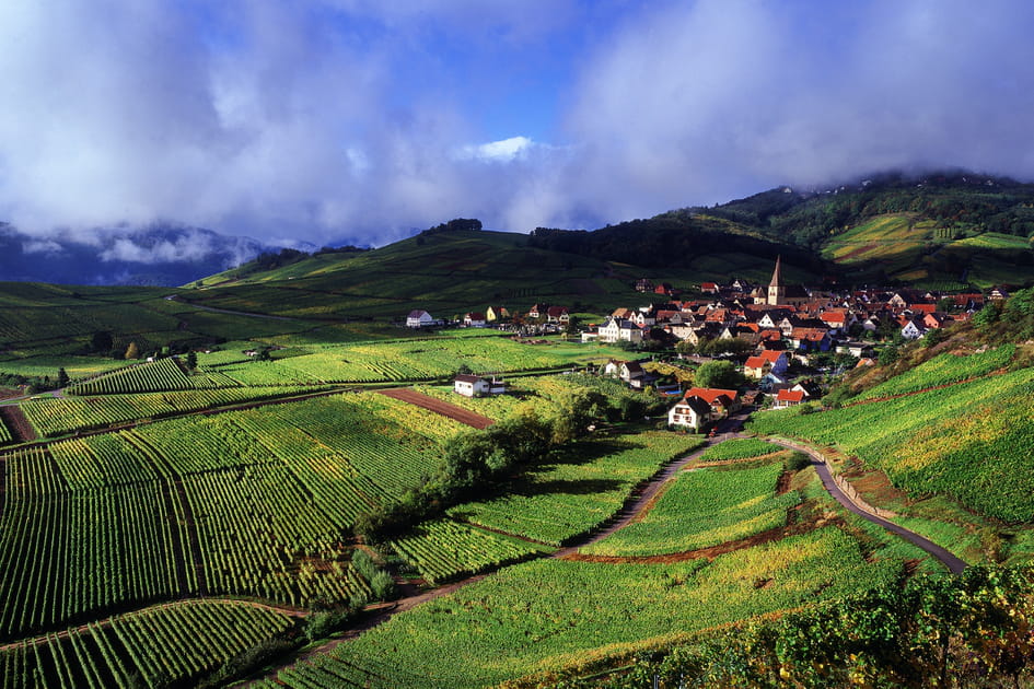 La v&eacute;loroute du vignoble d'Alsace