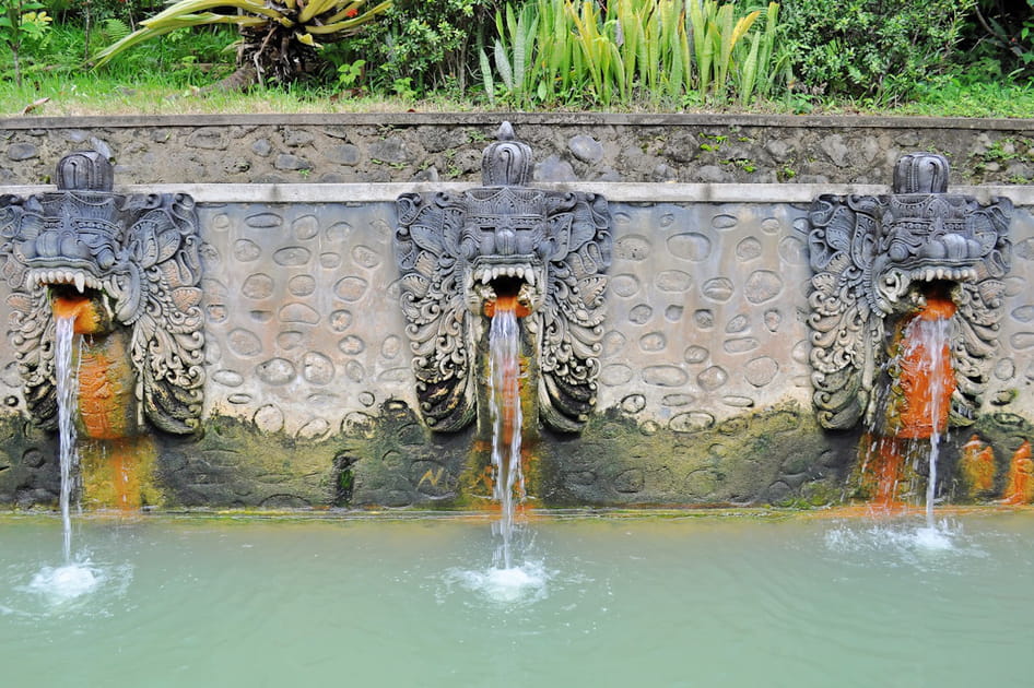 Les sources de Banjar &agrave; Bali