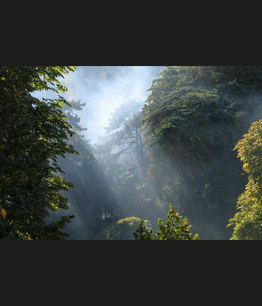 &quot;Brume et soleil &agrave; Montsouris&quot;