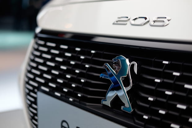 Zoom sur le logo dichroïque