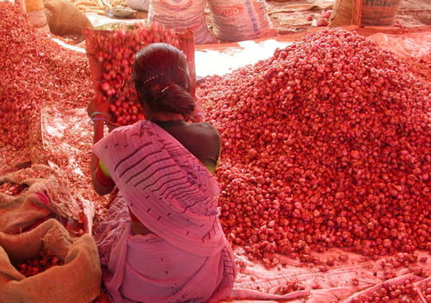 Inde du sud, là où naissent les couleurs