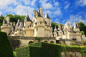 C'est le vrai &quot;Ch&acirc;teau de la Belle au bois dormant&quot; et on peut le visiter&nbsp;: m&ecirc;me les d&eacute;cors font revivre le c&eacute;l&egrave;bre conte