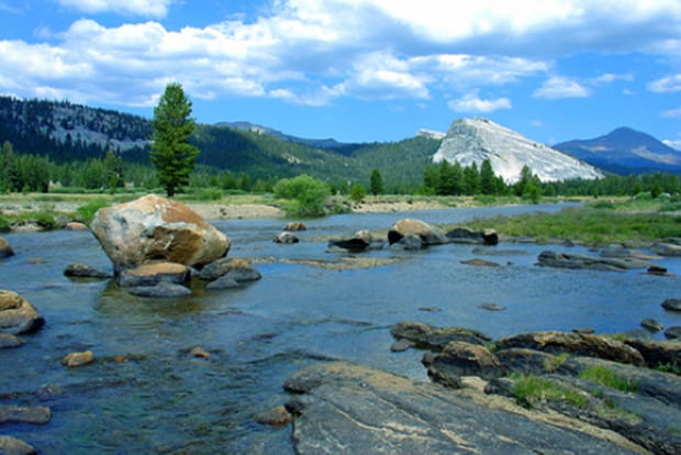 Tuolumne meadows