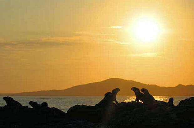 Soleil aux Galapagos