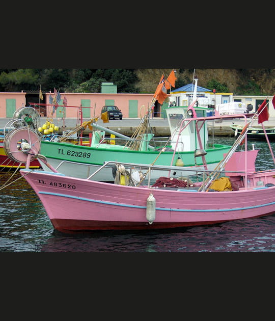 Les pointus de M&eacute;diterran&eacute;e