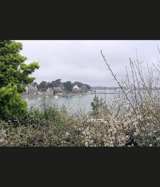 Une flore m&eacute;diterran&eacute;enne en Bretagne