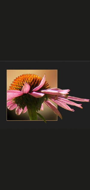 Retouchez vos photos
