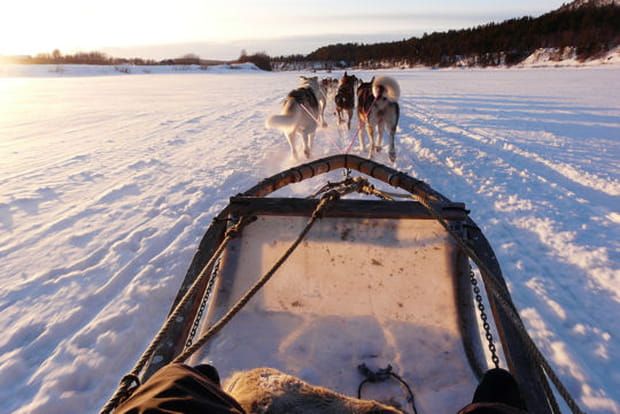 L'attelage de chiens de traineaux à Serre-Chevalier