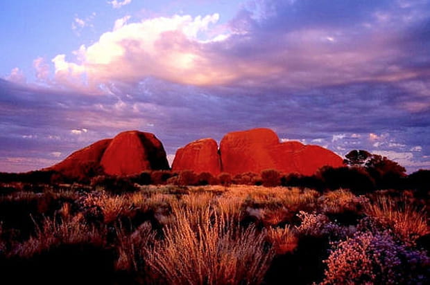 Le vent se lève sur Kata-Tjuta
