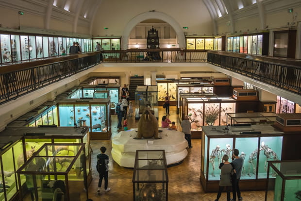 Le Horniman Museum, à Londres