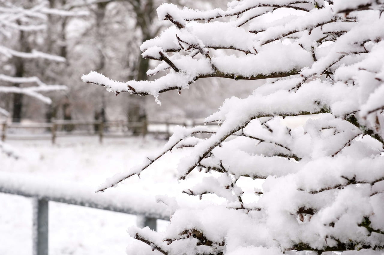 Le plan grand froid activé ? Les conditions de son déclenchement et les mesures qu'il contient