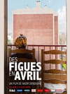 Des figues en avril