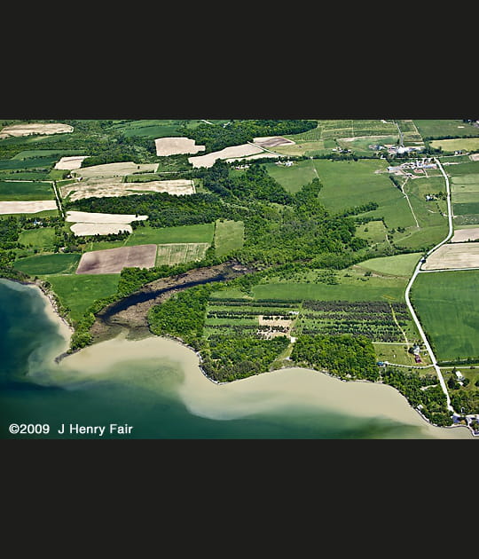Les affres de l'agriculture intensive