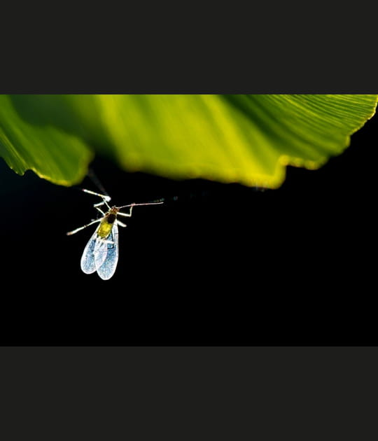 L'image de la semaine du 8 mai 2012