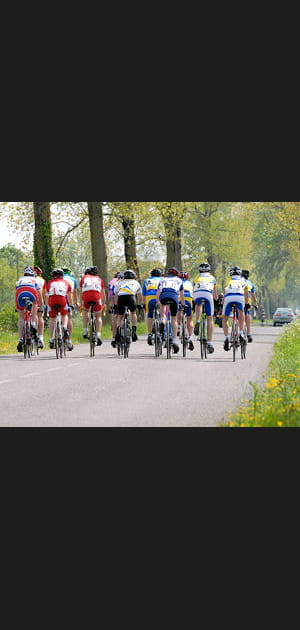 Les cyclistes qui ne respectent pas le code de la route