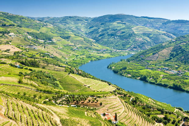 La vallée du Douro, au Portugal
