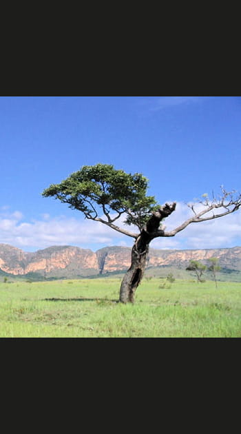 Madagascar et les &icirc;les de l'Oc&eacute;an Indien