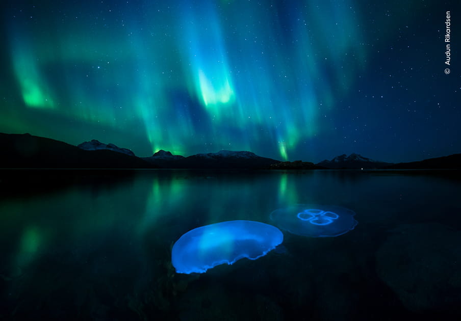 &quot;Gel&eacute;e d'aurore&quot; par Audun Rikardsen (Norv&egrave;ge)