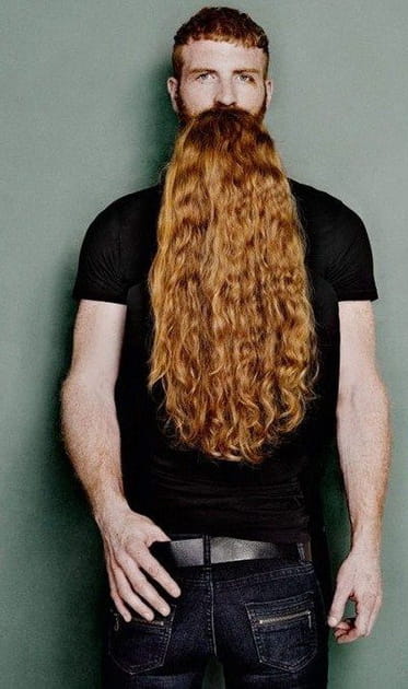 La barbe de 100 jours