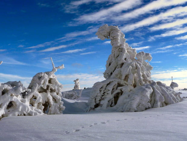Formes mystérieuses