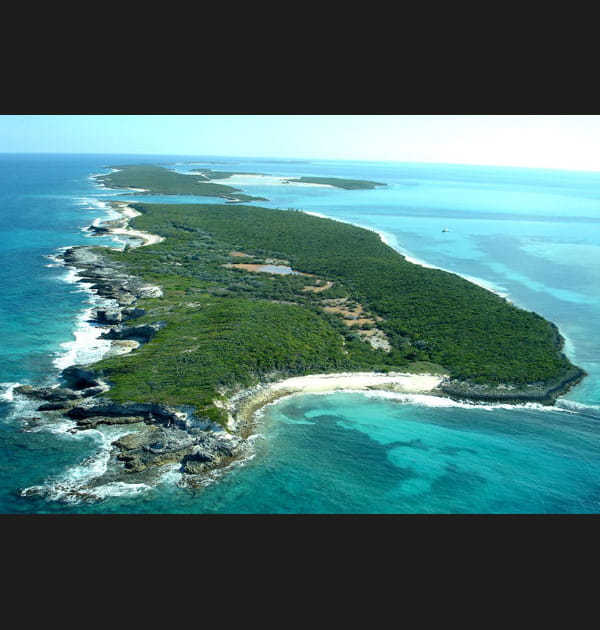 Devils Cay, propri&eacute;t&eacute; des tortues&nbsp;: 9,6&nbsp;millions d'euros