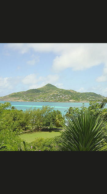 13- Saint-Vincent et les Grenadines