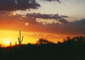 arizona