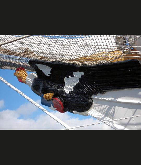 Un condor, oiseau des Andes