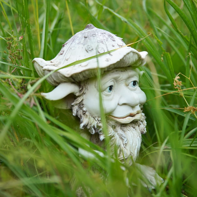 Les farfadets en Vend&eacute;e