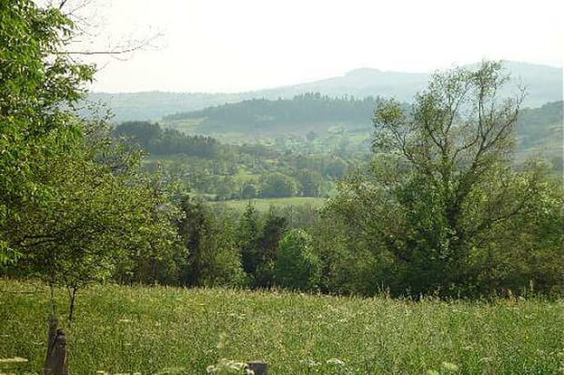 Bocage du Bas-Livradois
