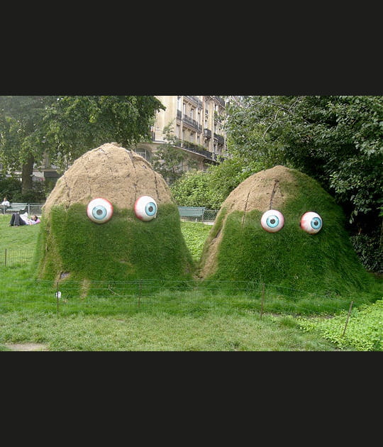 La nature fait les gros yeux