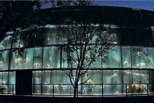 Le Museum de Toulouse