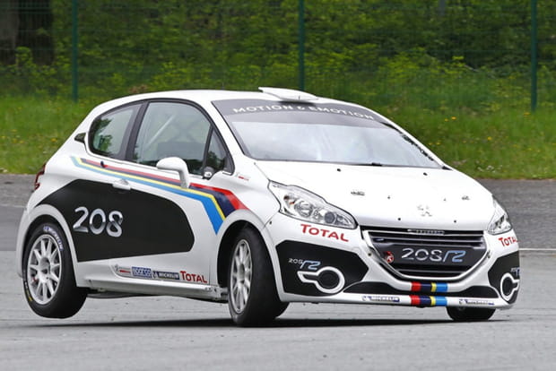 La lionne au régime