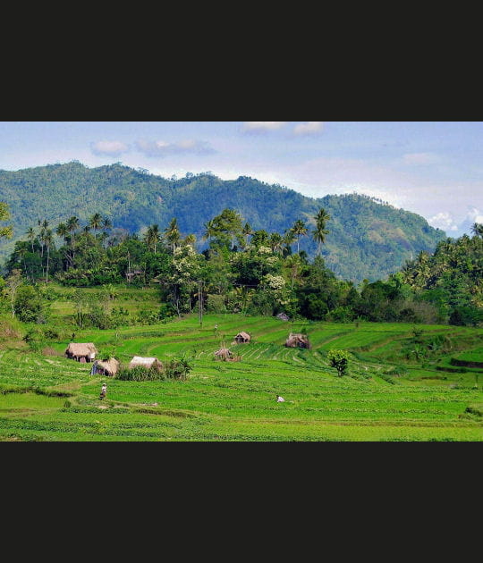 Des villages au milieu des rizi&egrave;res
