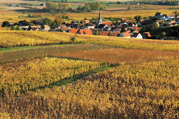 Rorschwihr, berceau des grands vins de garde