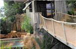 cabane
