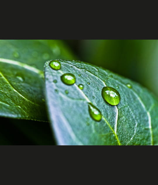Apr&egrave;s la pluie