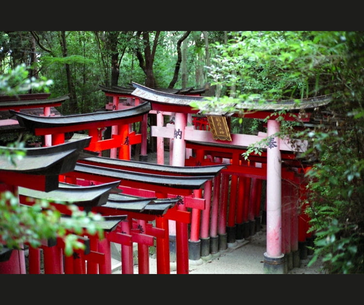 Kyoto