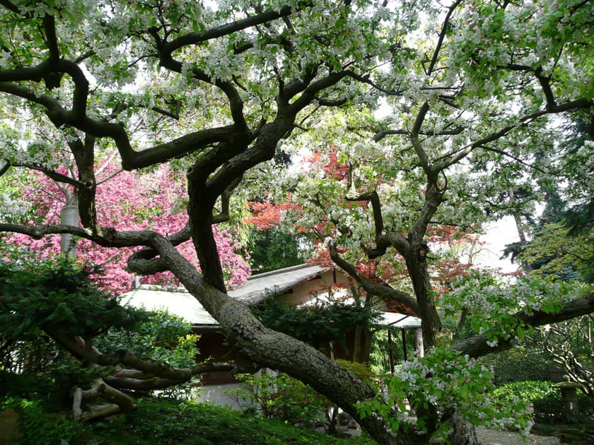 Le jardin d&eacute;partemental Albert-Kahn